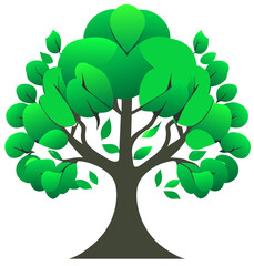 Wall Mural - tree with leaves