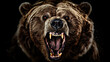 Portrait shot of an aggressive Grizzly Bear