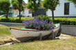 Altes Boot mit Blumen, Pflanzen und Lavendel