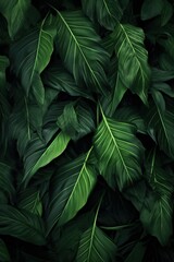 Wall Mural - Jungle Canopy Dreamscape Tropical Leaves Backdrop Inspiration Leafy Luxury Tropical Leaves Background for Elegant Decor