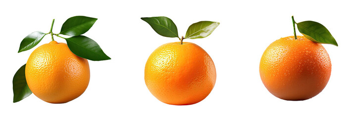 Poster - Closeup of a ripe mandarin on a transparent background