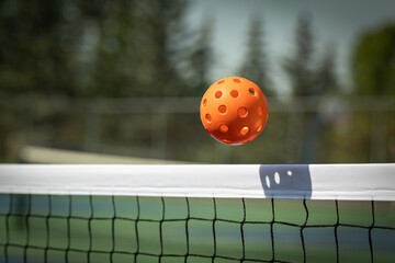 Wall Mural - Orange Pickleball crossing a Pickleball net with shadow on the top tape.