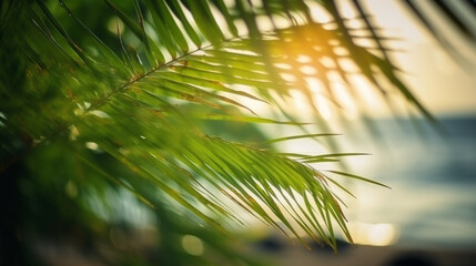  Blur beautiful nature green palm leaf on beach with bokeh sun light background Generative AI