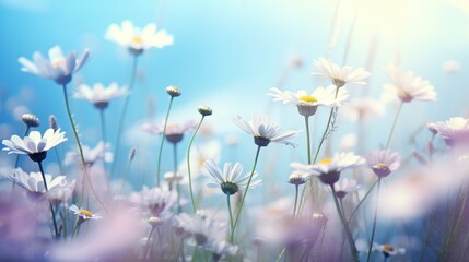 Poster - A field of colorful wildflowers sway gently in a morning breeze