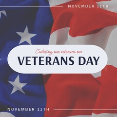 Canvas Print - Composite of saluting our veterans day november 11th text over flag of usa background