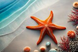Fototapeta  - starfish and shells