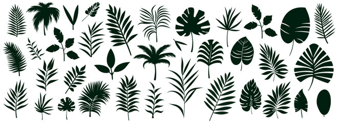 Wall Mural - set of silhouettes of palm leaves isolated on white background. black foliage. vector illustration