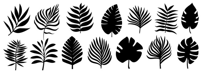 Wall Mural - set of silhouettes of palm leaves isolated on white background. black foliage. vector illustration