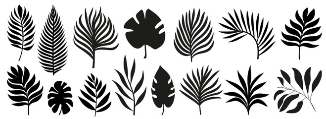 Wall Mural - set of silhouettes of palm leaves isolated on white background. black foliage. vector illustration