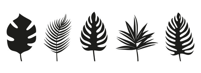 Wall Mural - set of silhouettes of palm leaves isolated on white background. black foliage. vector illustration