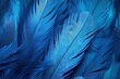 colourful light Swan pattern blue colours Blue wallpaper Texture Feather art Dark abstract Macro texture Vintage Blue design concept Backdrop blur Feather graphic Background Feathers fractal motion