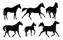 The Set Of Horses Silhouettes. 
