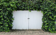 White wooden garage door in the wall covered with green ivy