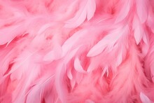 Beauty Delicate Bird Background Abstract Flamingo Soft Pink Feather Texture Beautiful Colourful Colours Pink Bright Coloured Feathers Feathering Macro Feather Background Background Plumage Pattern