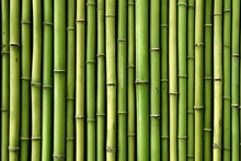 Culture Bark Background Bind Square Grass Wall Line Background Wood Organic Oriental Bundle Green Natural Stick Bamboo Chinese Gardenin Decoration Decor Tree Traditional Bamboo Fence Tropical Fence