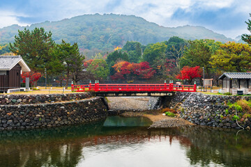 日本宇治紅葉2022