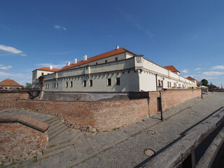 Wall Mural - Spielberg castle in Brno