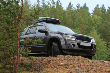 Sticker - SUV in the forest in the rain.