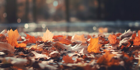 Autumn Forest Foliage. A close-up view of brown dry autumn leaves on the forest floor, featuring earthy tones.