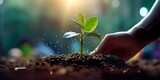 Fototapeta  - entrepreneur planting a seedling, symbolizing the growth of a startup. Generative AI