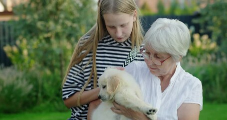 Wall Mural - Elderly lady with her granddaughter and a cute puppy in the backyard of the house.