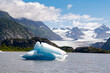 Glacier Lake mit Blick auf den  Grewingk Gletscher, Kenai, Alaska