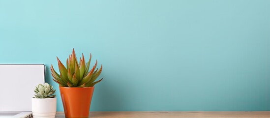Poster - Cactus and bamboo reside on a desk near a computer at home