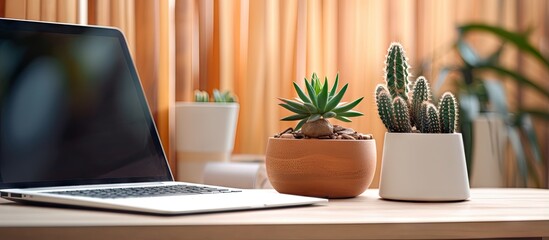 Poster - Cactus and bamboo reside on a desk near a computer at home