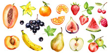 Watercolor Fruits Berries Food Color. Mango, Tangerine, Melon, Blueberries, Persimmon, Orange, Cherry, Pomegranate, Papaya, Kiwi, Lemon, Lime, Raspberry, Apricot, Apple, Grapefruit, Banana, Strawberry