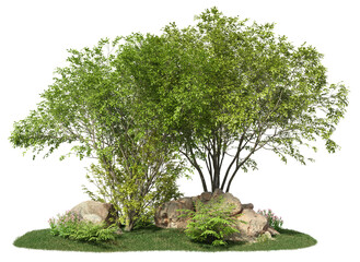Wall Mural - group of trees among the rocks. cutout trees isolated on transparent background. landscape of green 