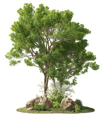 Wall Mural - group of trees among the rocks. cutout trees isolated on transparent background. landscape of green 