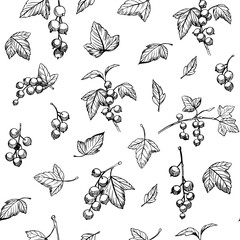 Black currant vector seamless pattern. Floral background. Design for fabric and print