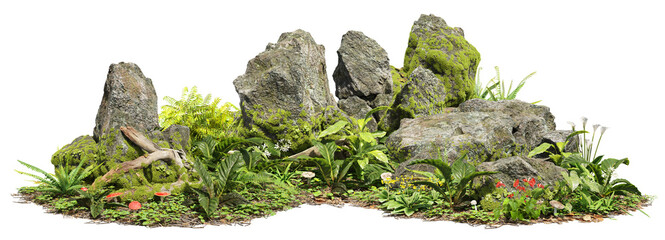 Fototapete - Cutout mossy rock surrounded by vegetation in the forest. Ancient boulder with moss isolated on transparent background. Mossy tree branch on the ground	
