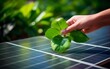 Conceptual representation of clean sustainable energy production with a hand holding green leafs over a solar panel.