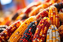 Flint Corn Closeup, Yellow, Red And Black, Fall Autumn Seasonal Decor, Home Harvest Decoration