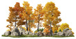 Group of deciduous trees among the rocks. Cutout yellow trees in autumn isolated on transparent background. Forest scape for landscaping or architectural visualisation. Colorful tree line in fall