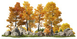 Fototapeta Las - Group of deciduous trees among the rocks. Cutout yellow trees in autumn isolated on transparent background. Forest scape for landscaping or architectural visualisation. Colorful tree line in fall