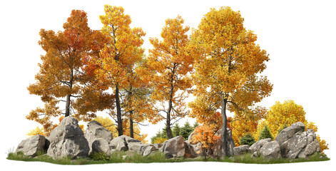 Wall Mural - group of deciduous trees among the rocks. cutout yellow trees in autumn isolated on transparent back