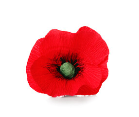 Red poppy flower isolated on white background. Remembrance Day in Canada