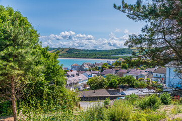 Wall Mural - A view past trees over the harbour and buildings in the West Wales town of New Quay in summertime