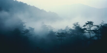 Gradual Gradients Of Gray In Cold Forest, Slow, Smooth Brush Strokes Creating A Fog - Like Atmosphere