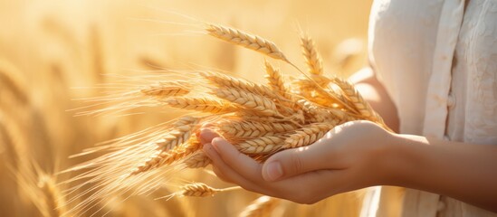 Female farmer inspecting wheat field close up of hand touching wheat space for text background