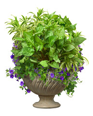 Wall Mural - cut out potted plant. garden design isolated on transparent background. flower bed and green plants 