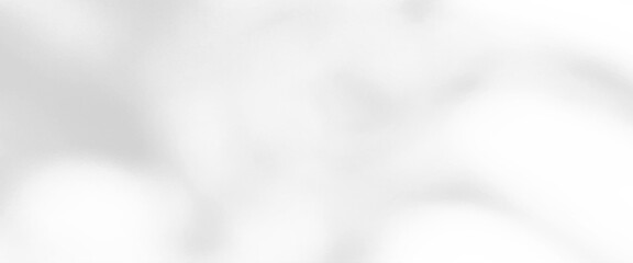 Wall Mural - Light white bokeh nature background, white grey soft light background, abstract trendy color gradient texture background.