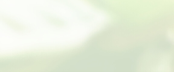 Wall Mural - Light green bokeh nature background, colorful soft light background, abstract trendy color gradient texture background.