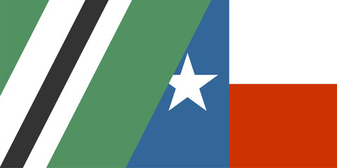 Dallas Stars ice hockey team uniform colors with flag of state