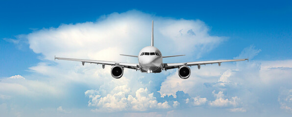 Wall Mural - Passenger airplane flying