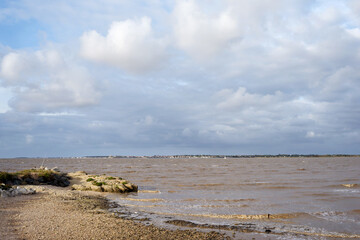 Wall Mural - The Charente estuary in Port-des-Barques village 