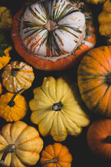 Sticker - Many various pumpkins background