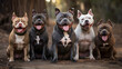 american bully dogs smiling for a portrait.